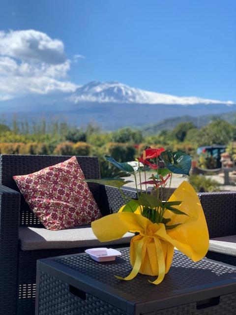 La Pomelia B&B Sofia Trappitello Εξωτερικό φωτογραφία